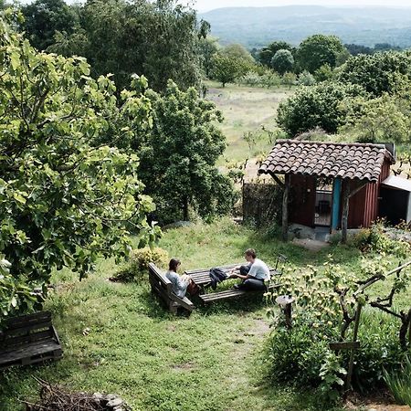 Torre Tanquian Eco Finca - Ribeira Sacra Pantón Eksteriør billede