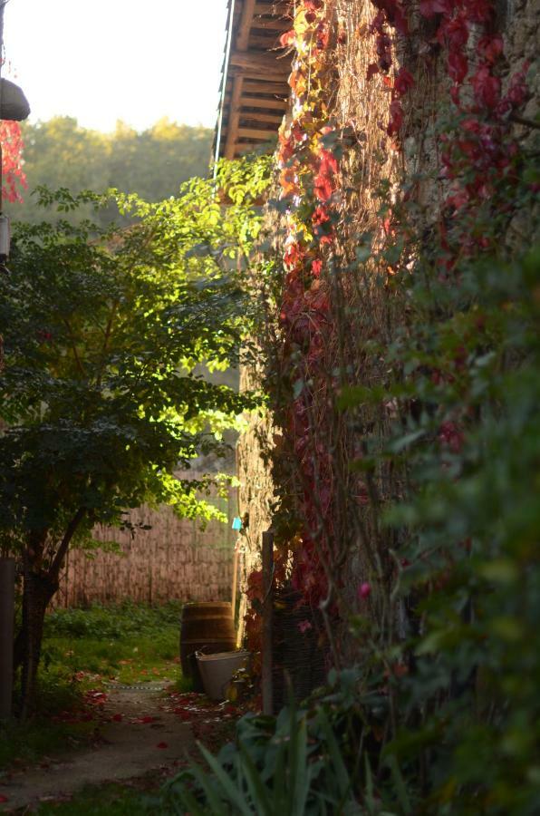 Torre Tanquian Eco Finca - Ribeira Sacra Pantón Eksteriør billede